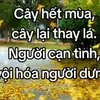 hong.le.thi86