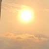 sofi_14163