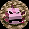 minecraft.gamer929