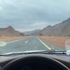 مهند الشلاش