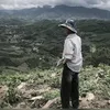 xun.thanh4264