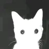 whosfrancis69_19