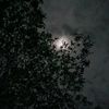 raniokta_via