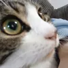 emilyboo.rubytoo