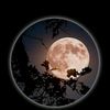 meer.murtaza3128
