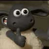 poyopoyo258