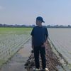 mirul_426