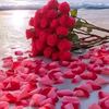 mohamed.mirshad7