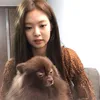 jnnzwc