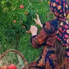 frmesk_gyan22