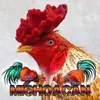 quang.thuong.tran