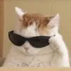 moreninho_do_tiktok