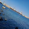 afaf.ahmed132