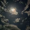 mgmdv5876