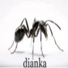 droniymed