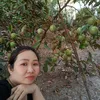 hong.phuon.887.8