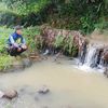 Lie doang...... (microfishing)