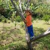 gerito144