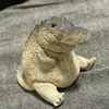 croco60
