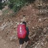 diandelin.idn