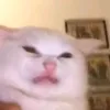 ice_azee