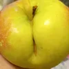 speloe_iablochko