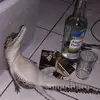 bukan.buaya