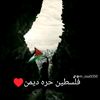 user97639885667097