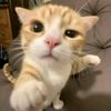 user_2129180507