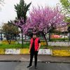 mesutboz34