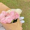 softlypitt._