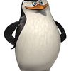 pepe.elpollo23