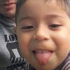 gastnesp10