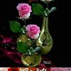 user94475976981885