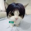 cats_are_awesome69