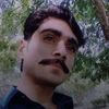 tanveer4526