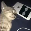 be_the_dreamer