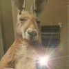 hola_121_282_