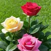 user2551811490204
