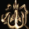 user1125591998251