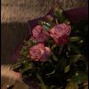 sx_1ly