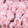 user_user111_
