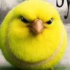 tennis_bird_tuff