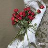 n.n81811