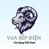 VUA BẾP ĐIỆN