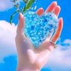 sharifahamed038