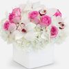 mariamn318