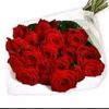 user9584227193781