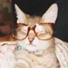 jiyacertifiedyapper