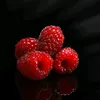 mogutan_0327
